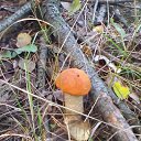 ���� �������, ������� - ��������� 6 �������� 2015 � ������ ���������))))�