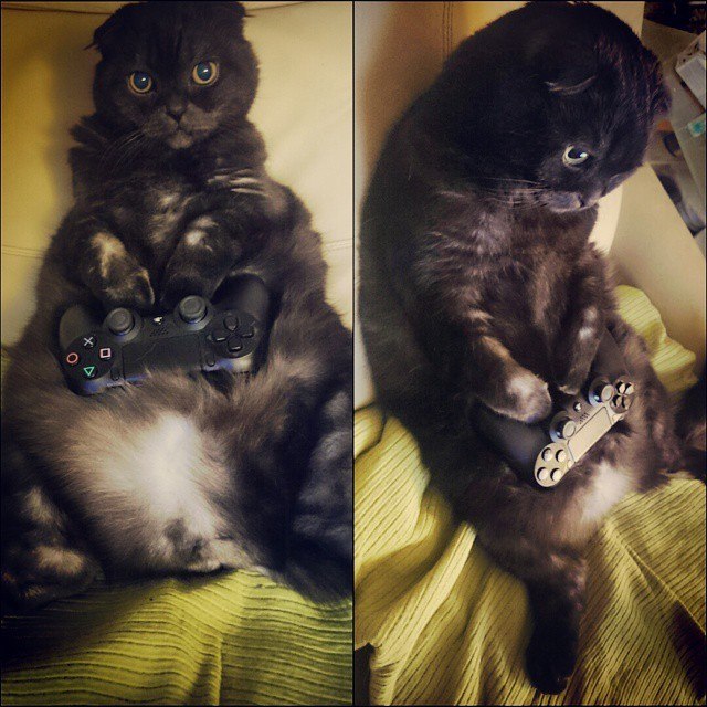  :)