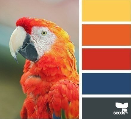 Design_color - 5