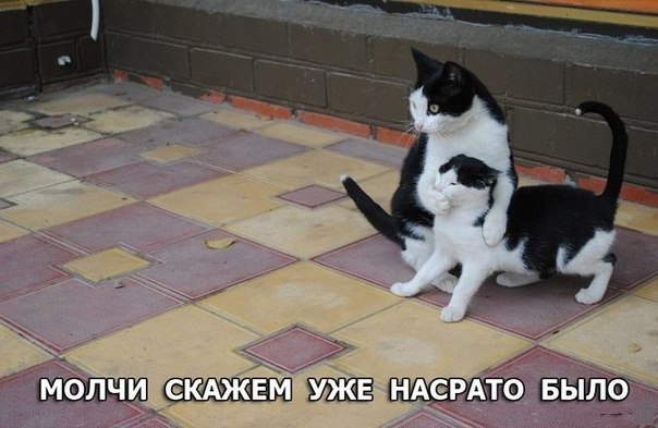 - - 27  2015  18:20