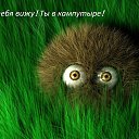 ���� ������, ����� - ��������� 26 ������ 2015 � ������ ������ ��������