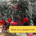 ���� ������, ���������, 49 ��� - ��������� 20 ���� 2015 � ������ �����