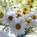 ���� ��������, ������, 57 ��� - ��������� 16 ���� 2015 � ������ ���� ����������