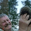 ���� ��������, ���������, 69 ��� - ��������� 23 ���� 2015 � ������ ���� ����������