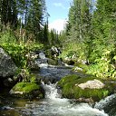 ���� ��������, ������, 48 ��� - ��������� 31 ������� 2015 � ������ ���� ����������