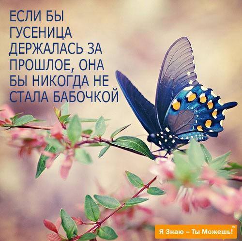   - 21  2015  23:42