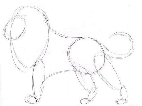    - 2