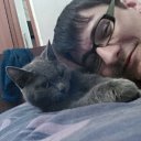 ���� �����, ���������, 33 ���� - ��������� 23 ��� 2015 � ������ ���� ����������