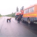 ���� ���������� �� ������� �������