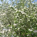 ���� ������, �����-��������� - ��������� 29 ��� 2015 � ������ ���� ����������