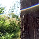 ���� �������, ������, 40 ��� - ��������� 31 ������� 2015 � ������ ���� ����