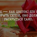  Alexandr, , 63  -  7  2015    