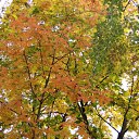 ���� Feruza, ������ - ��������� 20 ��� 2015 � ������ ���� ����������