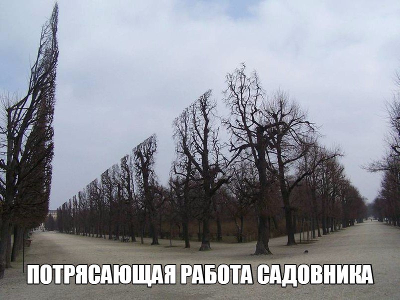  ... - 4