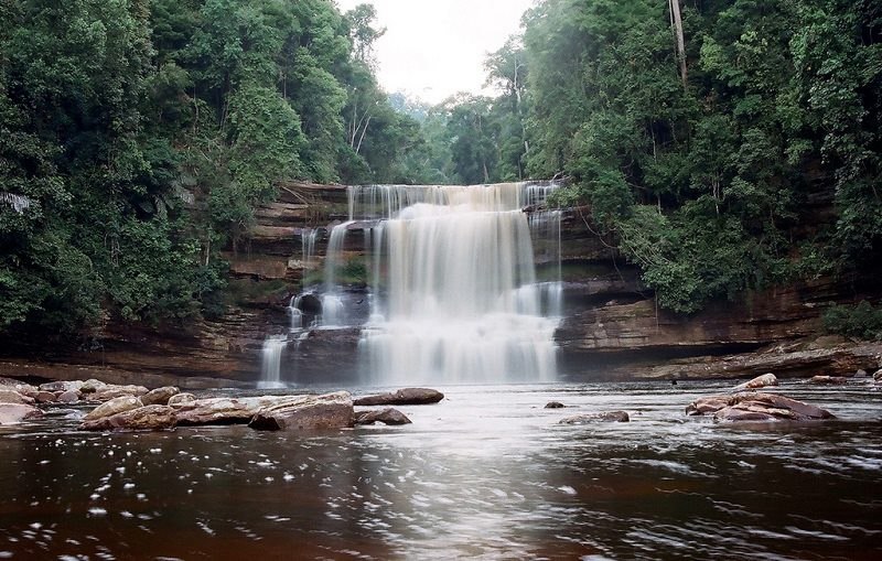   / . (. Borneo),   (. Kalimantan) -  ... - 6