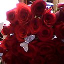 ���� ������, ���������, 67 ��� - ��������� 25 ��� 2015 � ������ ������� �������