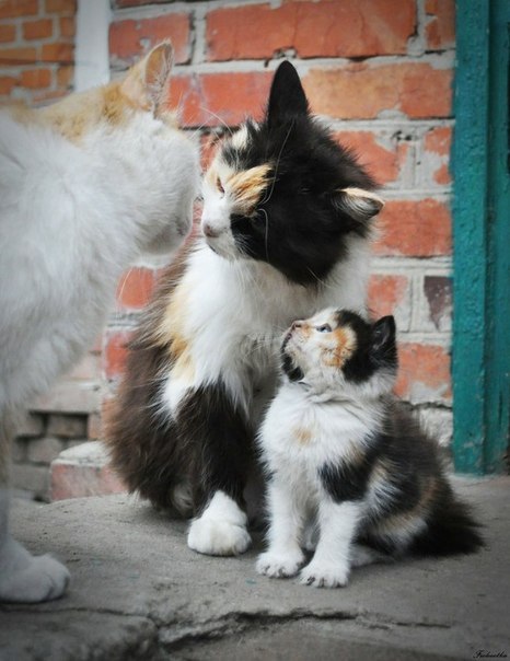 :3