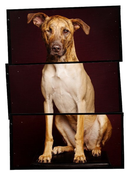 -   (Elke Vogelsang)        ...