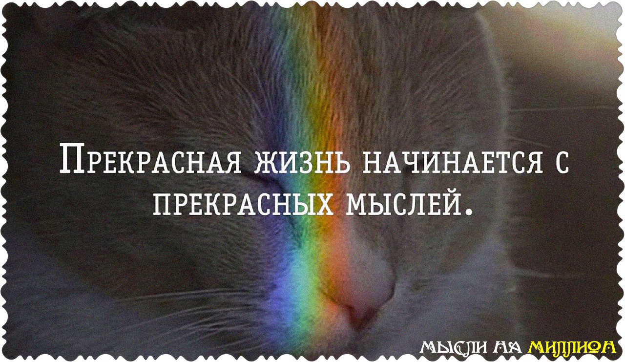    - 20  2015  20:24