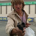 ���� ����, �������� - ��������� 24 ��� 2015 � ������ ���� ����������