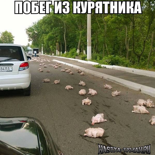   " " - 8  2015  02:32