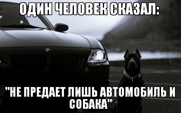  | BMW - 16  2015  10:14