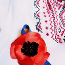 ���� �������, �����������, 34 ���� - ��������� 10 ��� 2015 � ������ ���� ����������