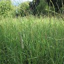 ���� ���������( �� �������), ��������� - ��������� 25 ���� 2015 � ������ ��������