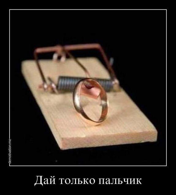   - 9  2015  21:27