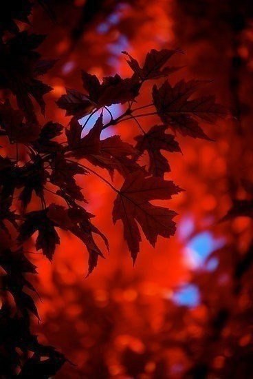 Жизнь нужно устраивать до тех пор, пока она не начнет полностью устраивать тебя!