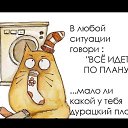 ���� ������� = ������ = �����, ������, 46 ��� - ��������� 30 ��� 2015 � ������ ������ ��������