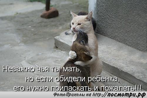       - 3  2015  23:30