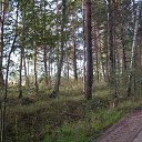 ���� �������, �����-���������, 56 ��� - ��������� 14 ��� 2015 � ������ ���� ����������