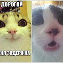 ���� �����, ����������, 37 ��� - ��������� 13 �������� 2015 � ������ ����