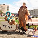  ,  -  8  2015      .