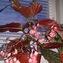 ���� ���, ����� - ��������� 9 ������� 2015 � ������ ���� ����� � �����������!�