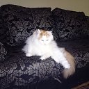 ���� ������, �����-����� - ��������� 25 ���� 2015 � ������ ������ ��������