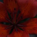 ���� ������, �������, 41 ��� - ��������� 12 ���� 2015 � ������ ����� �����