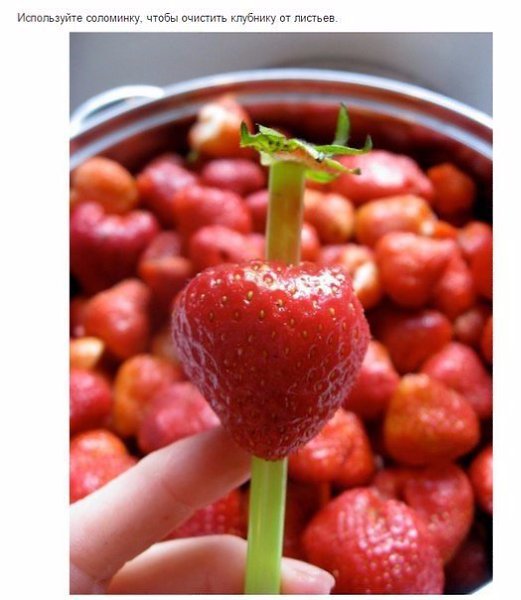 Продукты, которые можно есть совсем иначе.Когда дело доходит до еды, кажется, что мы знаем о ее ... - 7