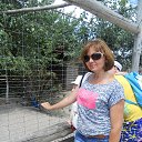  , , 43  -  15  2015   2015