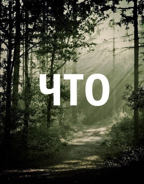 ...   ,     - 5