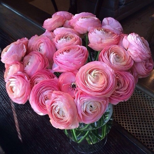 Цветы - это магия, которую мужчинам не понять, ей просто нужно пользоваться - 3