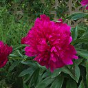 ���� Sergeyip, ������, 64 ���� - ��������� 14 ���� 2015 � ������ ���� ����������