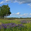 �������, ������, ������� ����))) �� ������� ���� ���������..))�