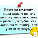 ���� ����, �������, 47 ��� - ��������� 13 ���� 2015 � ������ ������ ��������