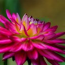 ���� �������, ������ - ��������� 24 ��� 2015 � ������ ���� ����������