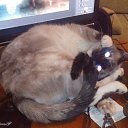  ,  , 60  -  17  2015    