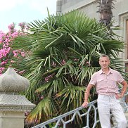 �������� ������������, 53 ����, ������������