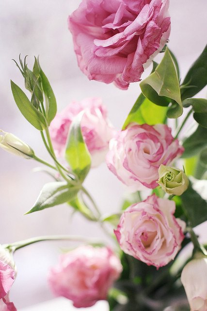 Доброе утро ) - 4