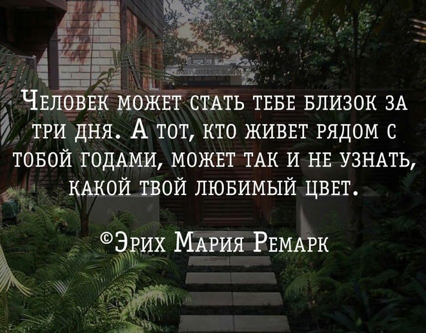 Кто жил рядом. Человек может стать тебе близок за три дня. Твой человек Ремарк. Человек может стать тебе близок. Жить рядом.